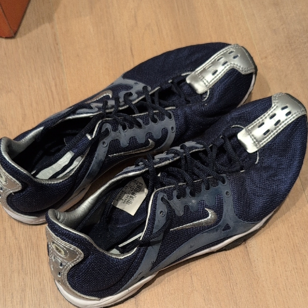 Nike Blue And Silver Running Shoes
